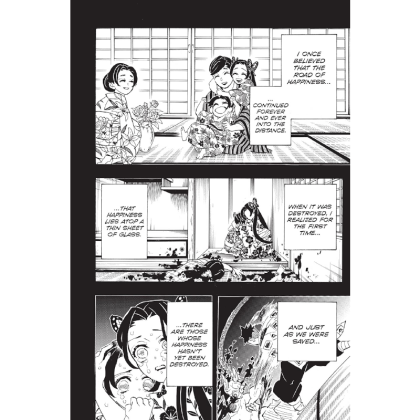 Manga: Demon Slayer Kimetsu no Yaiba  Vol. 17