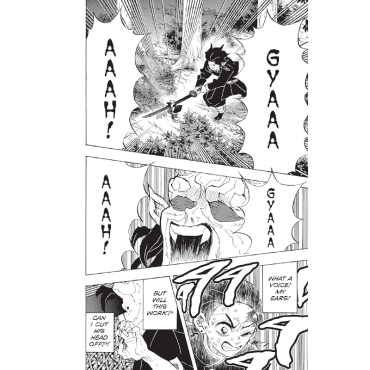 Манга: Demon Slayer Kimetsu no Yaiba Vol. 14