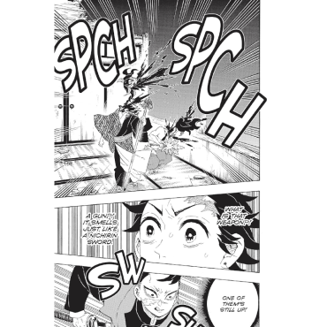 Манга: Demon Slayer Kimetsu no Yaiba Vol. 13