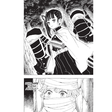 Manga: Demon Slayer Kimetsu no Yaiba  Vol. 6