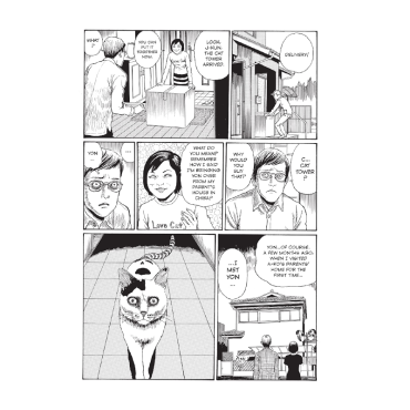Манга: Junji Ito`s Cat Diary Yon and Mu