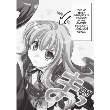 Manga: Toradora vol. 1
