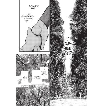 Манга: Tokyo Ghoul Re Vol. 13