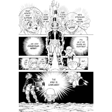 Манга: Hunter x Hunter, Vol. 29