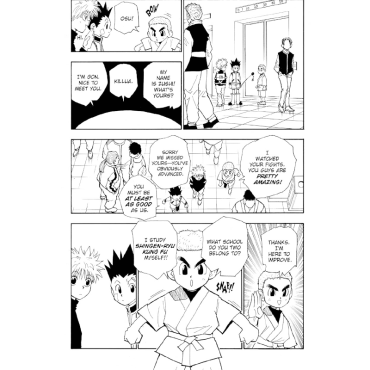 Manga: Hunter x Hunter, Vol. 6