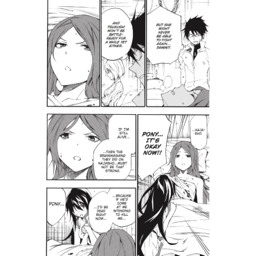 Манга: Akame Ga KILL! Zero vol. 9