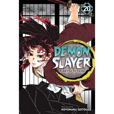 Манга: Demon Slayer Kimetsu no Yaiba Vol. 20