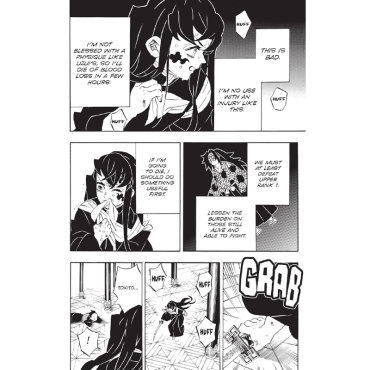Манга: Demon Slayer Kimetsu no Yaiba Vol. 20