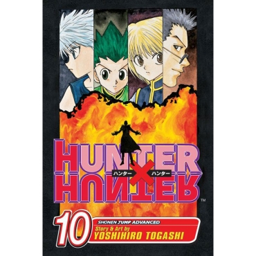 Manga: Hunter x Hunter, Vol. 10
