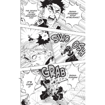Манга: Demon Slayer Kimetsu no Yaiba Vol. 21