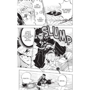 Манга: Demon Slayer Kimetsu no Yaiba Vol. 21