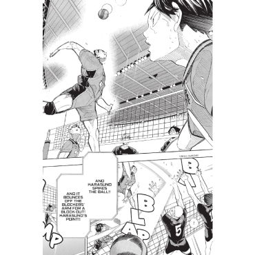 Манга: Haikyu Vol. 30