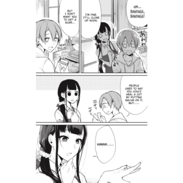 Manga: The Elder Sister-Like One vol. 2