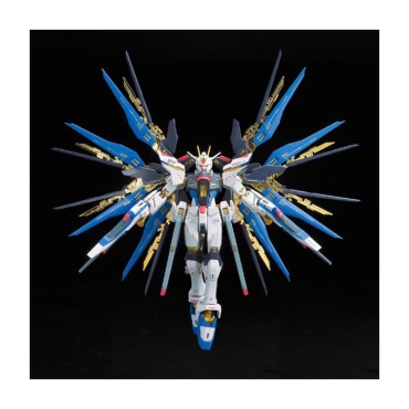 (MG) Gundam Model Kit - Strike Freedom Gundam Full Burst Mode 1/100