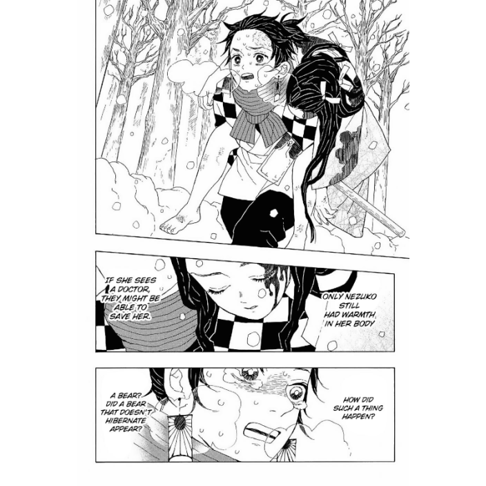 Manga Demon Slayer Kimetsu No Yaiba Vol 1