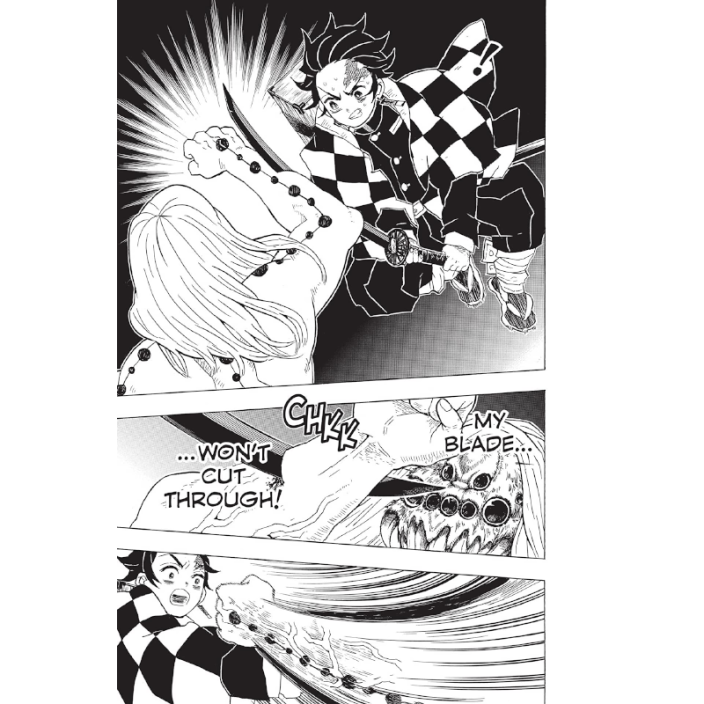 Manga Demon Slayer Kimetsu No Yaiba Vol 5