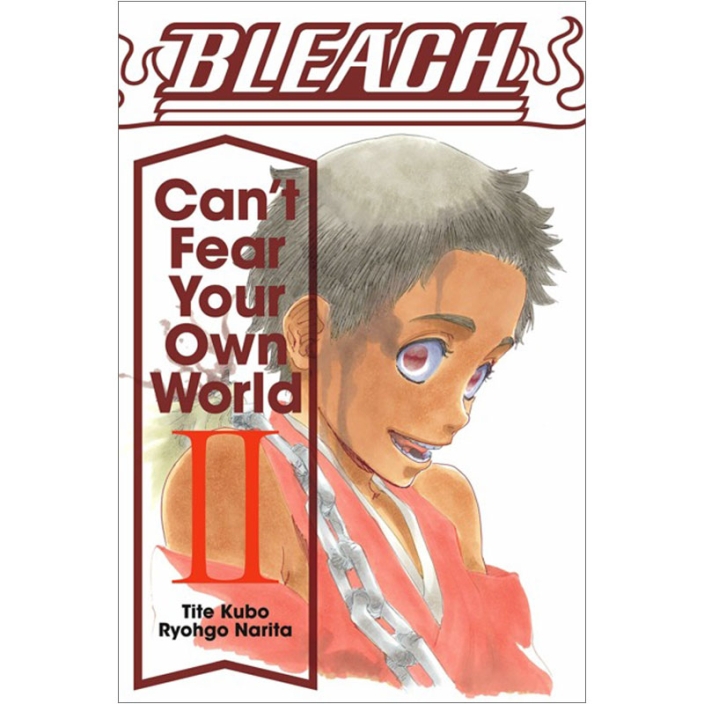 Light Novel Bleach Can T Fear Your Own World Vol 2