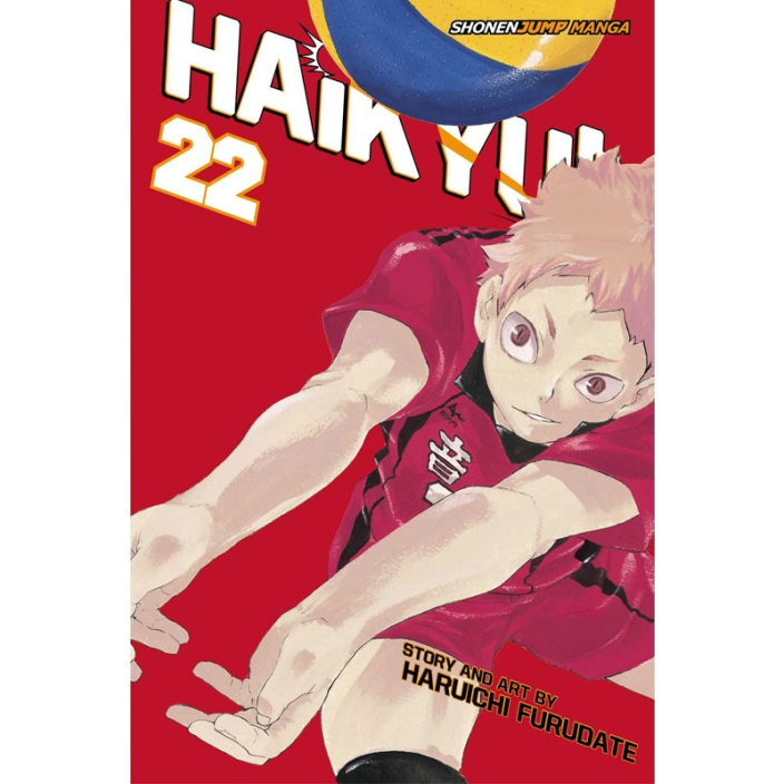 Haikyu!! Manga Volume 19