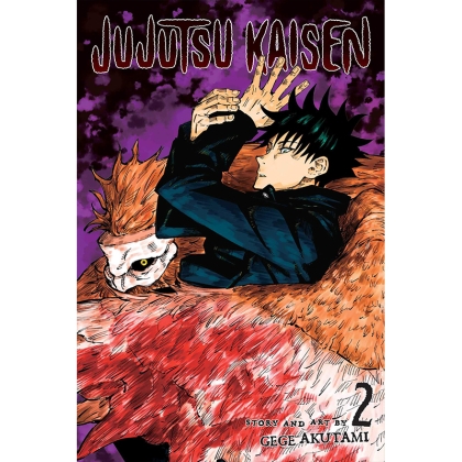 Манга: Jujutsu Kaisen, Vol. 2