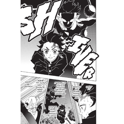 Манга: Demon Slayer Kimetsu no Yaiba Vol. 14