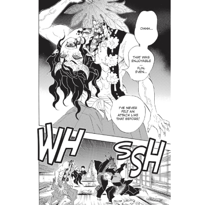 Манга: Demon Slayer Kimetsu no Yaiba Vol. 13