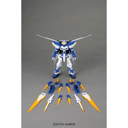 (MG) Gundam Seed Model Kit - Gundam Astray Blue Frame D MBF-P03D 1/100