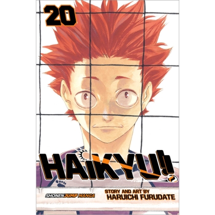 Manga: Haikyu Vol. 20