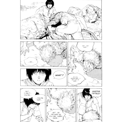 Manga: Akira Vol. 6 FINAL