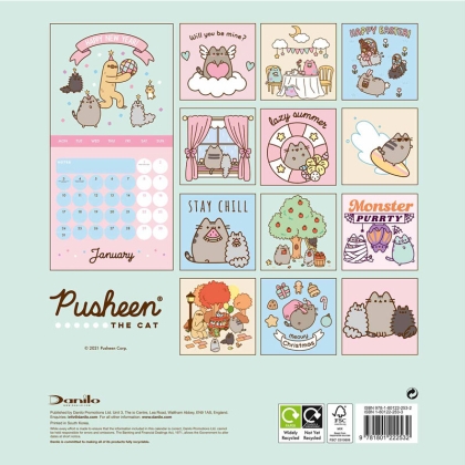 Pusheen 2022 Calendar & Diary Gift Box