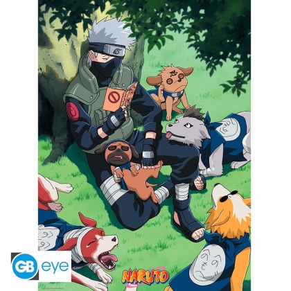 Naruto Shippuden: Плакат - Kakashi and dogs