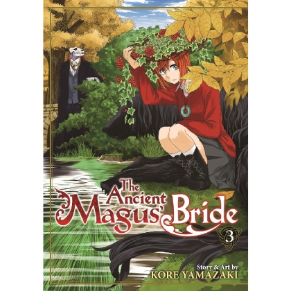 Manga: The Ancient Magus' Bride Vol. 3