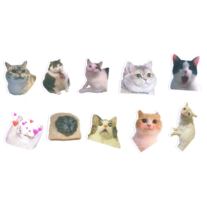 Cat Memes Ver. B Sticker Pack - 10pcs